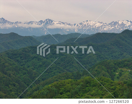 從長野縣小川村阿爾卑斯展望台眺望的鄉村新綠與白雪皚皚的白馬山脈（無人機空拍） 127266520