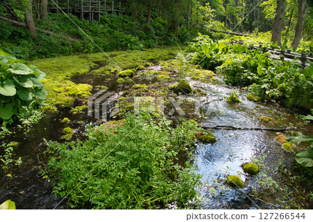長野縣姬川源頭,綠樹環繞 長野縣姬川源頭,綠樹環繞 127266544