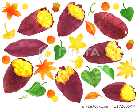 Baked sweet potato, watercolor illustration of sweet potato 127266547