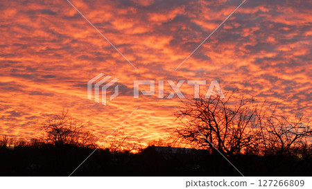 Intense Sunset with Fiery Clouds and Silhouetted Trees Intense Sunset with Fiery Clouds and Silhouetted Trees 127266809