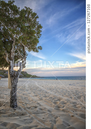 Perfect resort for relaxing. Perfect resort for relaxing. 127267108