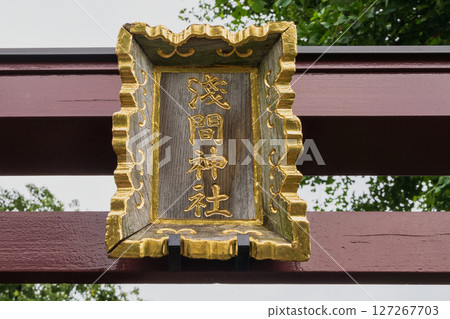 文京區、東京白山神社、白山淺間神社大山、文京繡球花節 127267703
