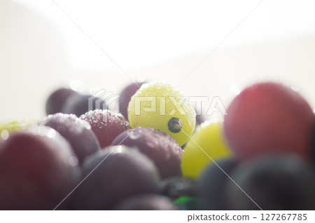 Water droplets on plants and fruits Water droplets on plants and fruits 127267785