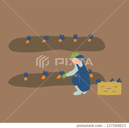 農夫收穫胡蘿蔔的插圖 農夫收穫胡蘿蔔的插圖 127268023