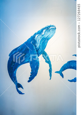 陽光下的鯨魚 127268485