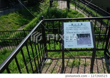 Shoryuji Castle earthworks and dry moat remains 127268523