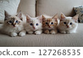 Four Adorable Kittens Sitting Together on a Cozy Sofa 127268535