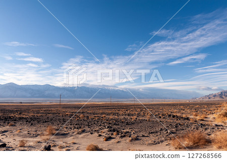 Lone pine California 127268566