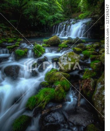 Tateshina Otaki Tateshina Otaki 127269247