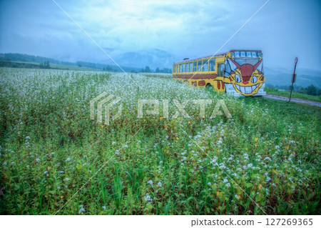 Togairo Pass and the Cat Bus 127269365
