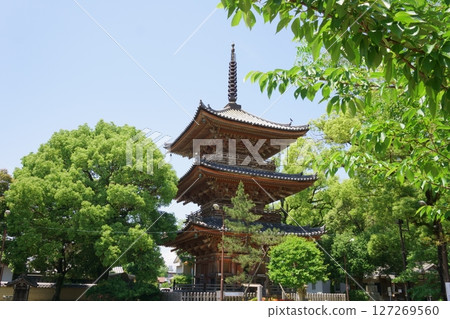 甚目寺觀音三重塔 國家重要文化財產 尾張四觀音 127269560