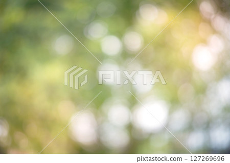 Bokeh Blur, Blur Image, Beautiful Light Background Image Bokeh Blur, Blur Image, Beautiful Light Background Image 127269696