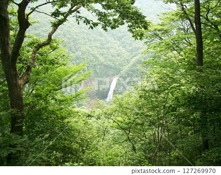 Fudo Falls in Zao Town, Miyagi Prefecture 127269970