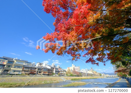秋天的鴨川沿岸 秋天的鴨川沿岸 127270000