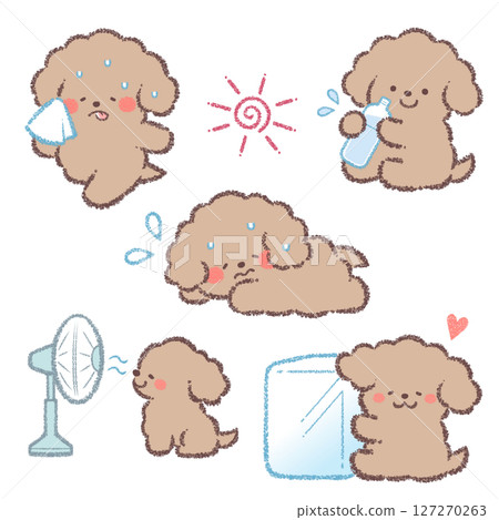 防中暑玩具貴賓犬變型套裝 127270263