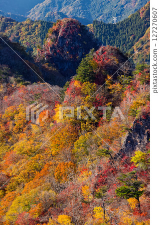 The ridgeline leading to Mt. Eboshi in autumn colors as seen from Mt. Shirake in Western Joshu The ridgeline leading to Mt. Eboshi in autumn colors as seen from Mt. Shirake in Western Joshu 127270607