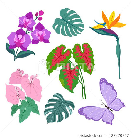 tropical plants set, flat style 127270747