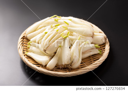 [Kagoshima Prefecture] Earthen shallots 127270834