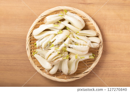[Kagoshima Prefecture] Earthen shallots 127270840