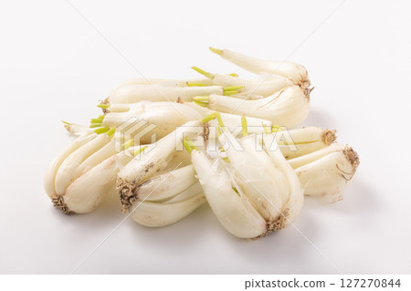 【鹿兒島縣】土蔥 127270844