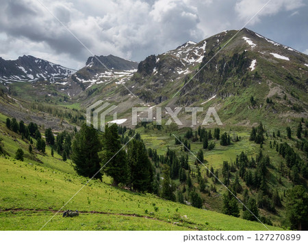 Picturesque sunny summer mountain plateau 127270899