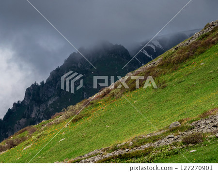 Picturesque summer mountain landscape. Altai. Picturesque summer mountain landscape. Altai. 127270901