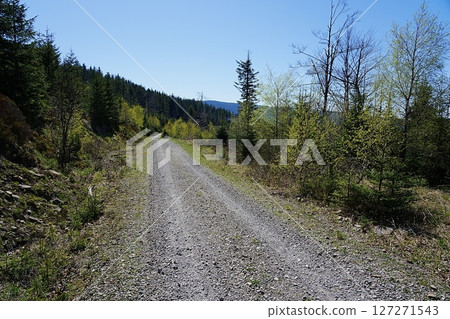Path in Silesian Beskids near Szczyrk town in Poland Path in Silesian Beskids near Szczyrk town in Poland 127271543