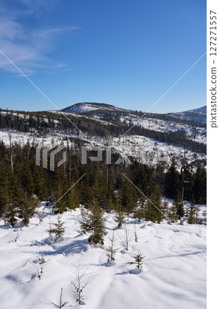 View to Beskids on European Bialy Krzyz in Poland - vertical View to Beskids on European Bialy Krzyz in Poland - vertical 127271557