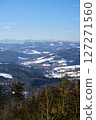 Valley at Beskids at Silesian Voivodeship near European Bialy Krzyz in Poland - vertical 127271560