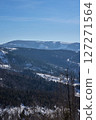 Beskids mountains at Silesian Voivodeship near European Bialy Krzyz in Poland - vertical 127271564