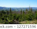 Forest in Silesian Beskids near European Szczyrk town in Poland 127271596