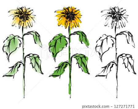 Sunflower illustration drawn with ink - Plant 6 127271771