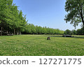 The grass area of Tsukuba Expo Memorial Park 127271775
