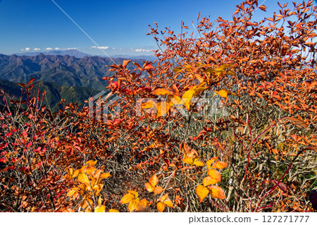西上州天狗岩的紅葉和淺間山的景色 西上州天狗岩的紅葉和淺間山的景色 127271777