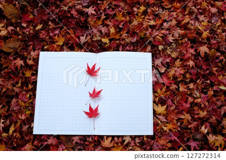落葉和日記圖片素材 127272314