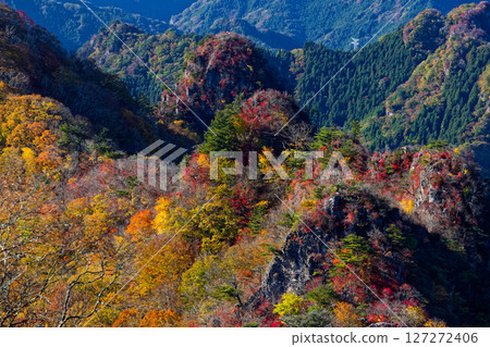 從西上州的白手山眺望，烏帽子山的山脊線呈現出一片紅葉 127272406