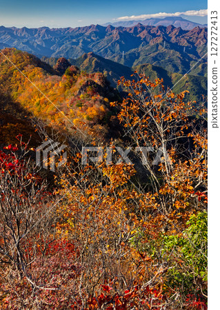 Autumn foliage in the west of Joshu, the ridgeline to Mt. Eboshi and Mt. Asama seen from Mt. Shirake 127272413