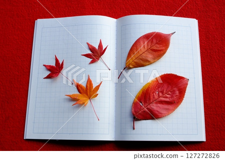 落葉和日記圖片素材 127272826