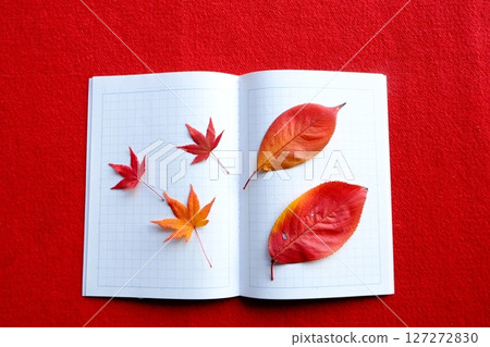 落葉和日記圖片素材 落葉和日記圖片素材 127272830