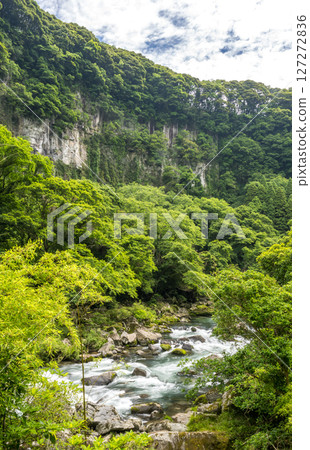 Beautiful natural scenery with green leaves in early summer Beautiful natural scenery with green leaves in early summer 127272836