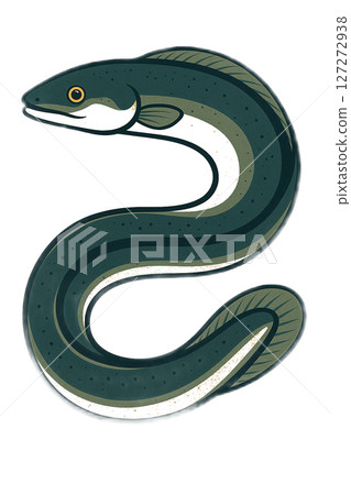 鰻魚圖 127272938
