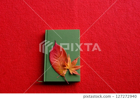 Image material of colored leaves and reading Image material of colored leaves and reading 127272940
