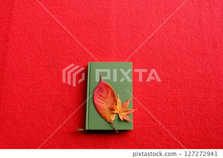 彩色樹葉和閱讀圖像材料 127272941