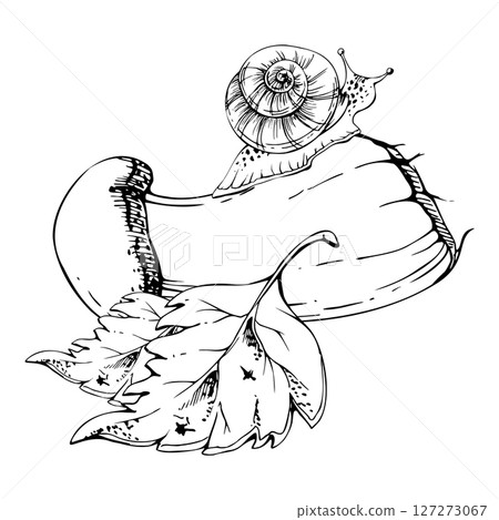 Birch bolete cep leccinum mushroom fungus, scaber stalk with snail on top, fallen autumn leaves. Forest floor scene. Nature hand drawn vector ink illustration. Stationery prints, calendar poster art Birch bolete cep leccinum mushroom fungus, scaber stalk with snail on top, fallen autumn leaves. Forest floor scene. Nature hand drawn vector ink illustration. Stationery prints, calendar poster art 127273067