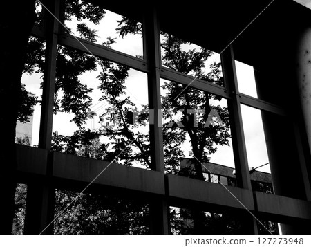 sunlight through window sunlight through window 127273948
