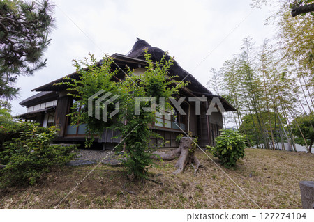 老房子的雨季 127274104