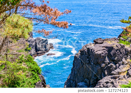 A small fishing port and cape in Rikuzentakata, Iwate Prefecture A small fishing port and cape in Rikuzentakata, Iwate Prefecture 127274123