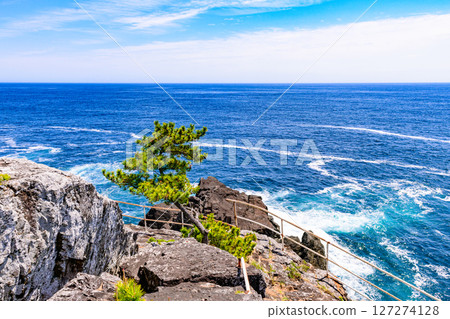 岩手縣陸前高田市的一個小漁港和海岬 127274128