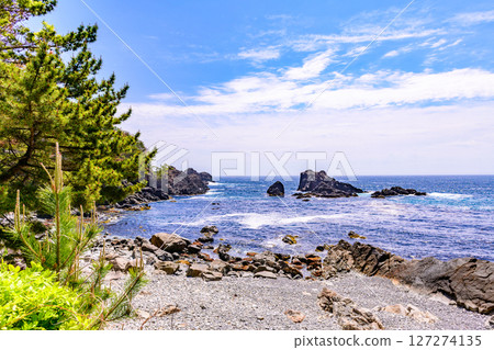 A small fishing port and cape in Rikuzentakata, Iwate Prefecture A small fishing port and cape in Rikuzentakata, Iwate Prefecture 127274135