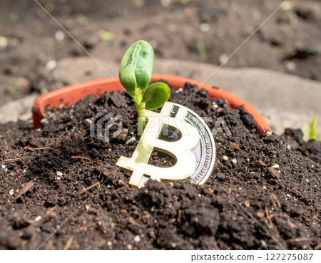 Bitcoin growth, cryptocurrency bull market, rocket record heights conceptual background 127275087